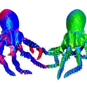 Set Of 2 Octopus - 5” 3-D Printed Bright Multicolor Slinky Fidget Sea Creatures